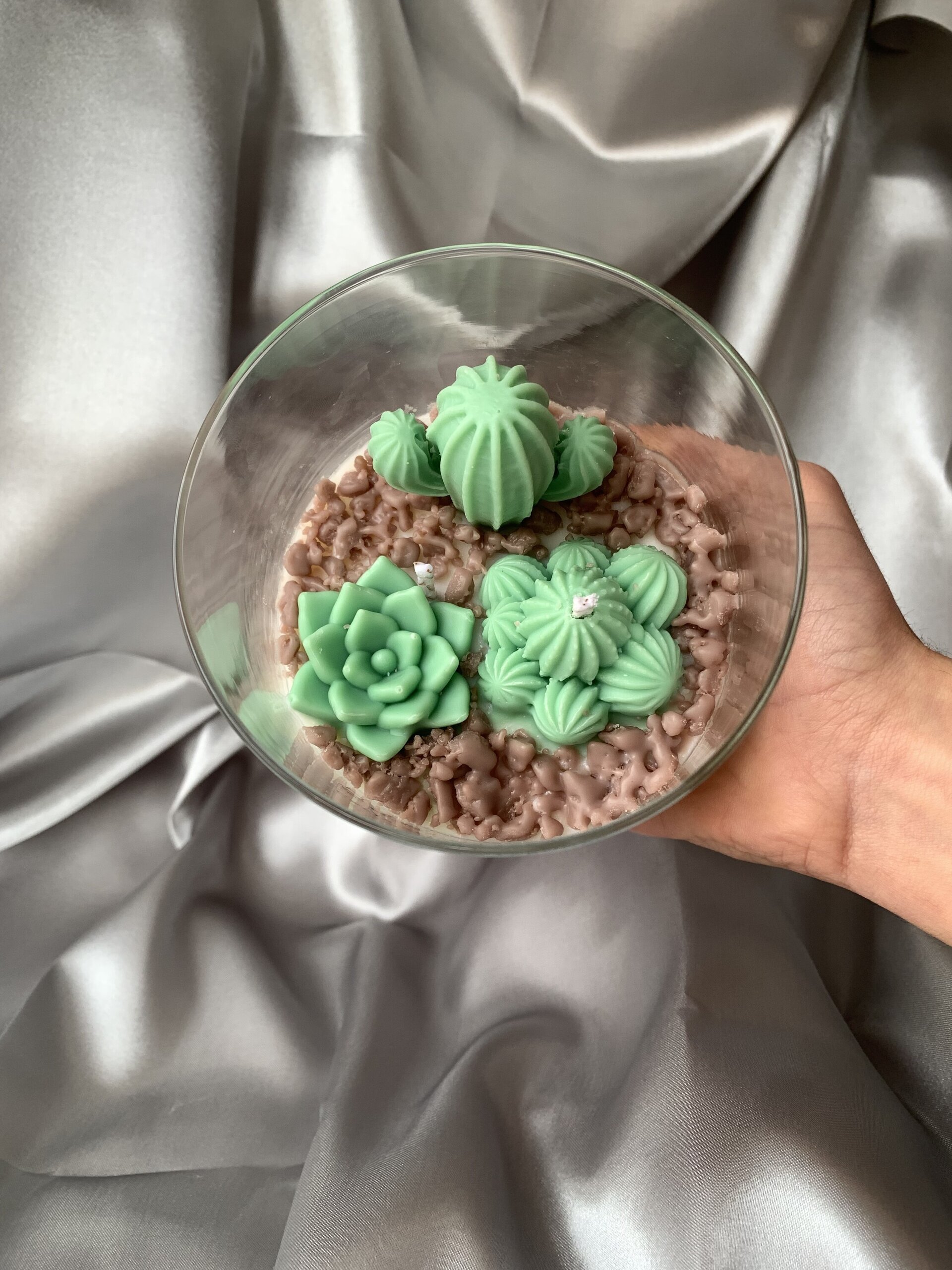 Vela terrario - 3
